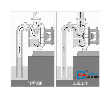 離心泵氣縛現象圖